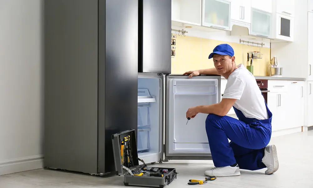 Common Fridge Problems and How to Fix Them